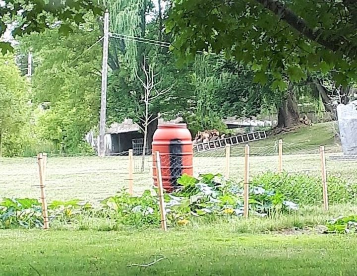 Garden Pic Garden Pic