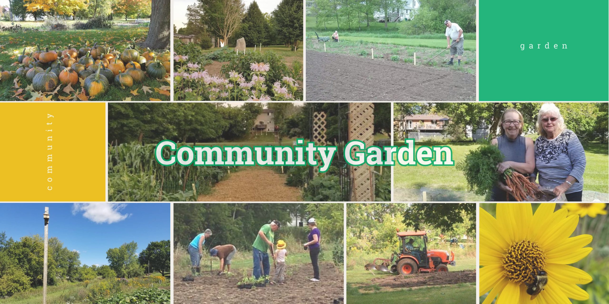 Community Garden (3)